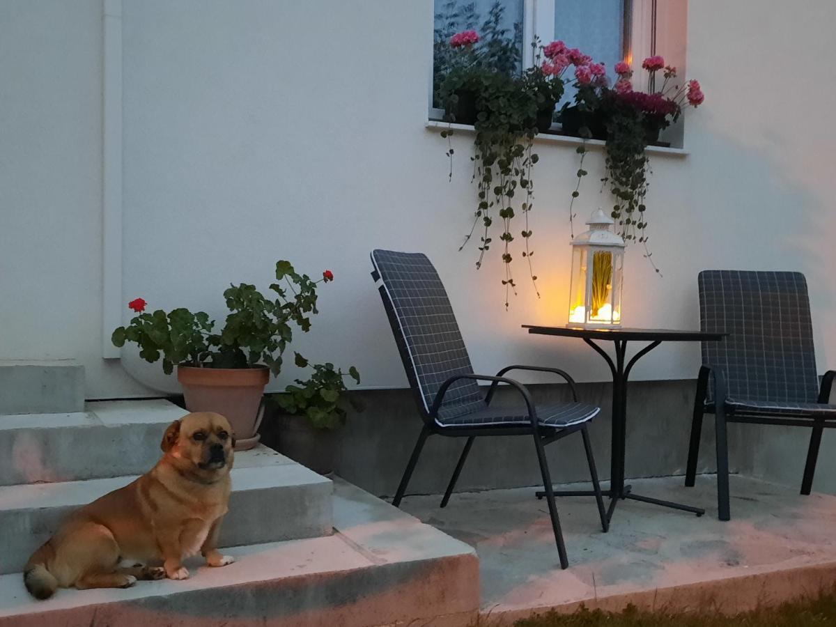Studio Apartman Marta Korenica Exteriör bild