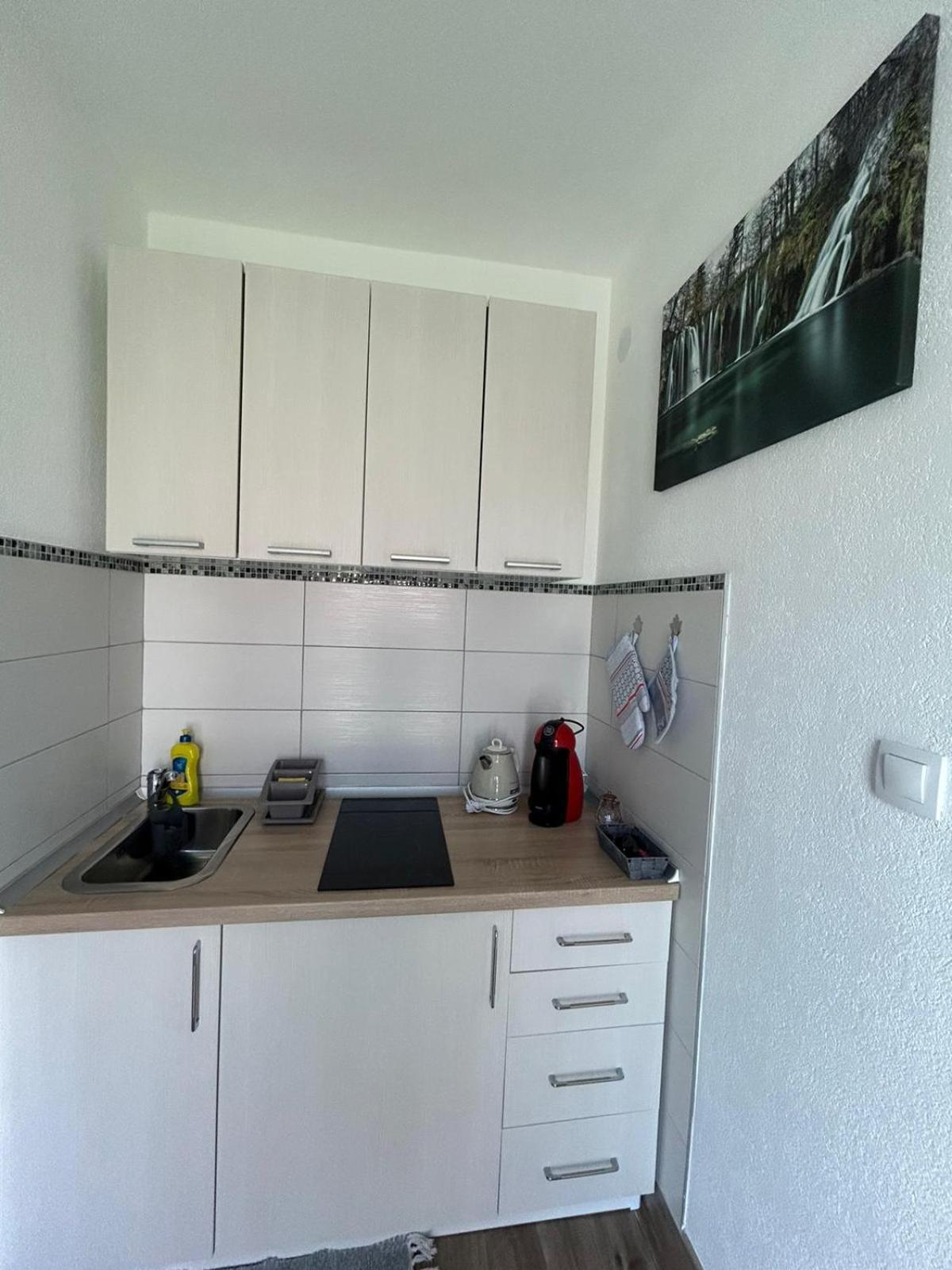 Studio Apartman Marta Korenica Exteriör bild